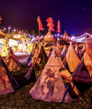 festipi